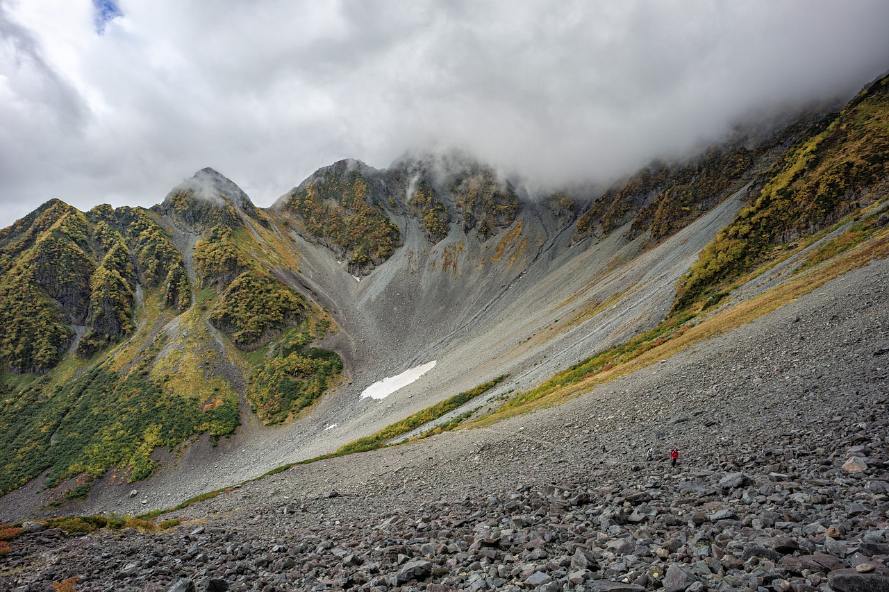 Top 10 Wildlife Viewing Spots in Denali National Park